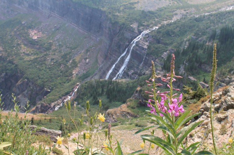 01 Glacier (222)