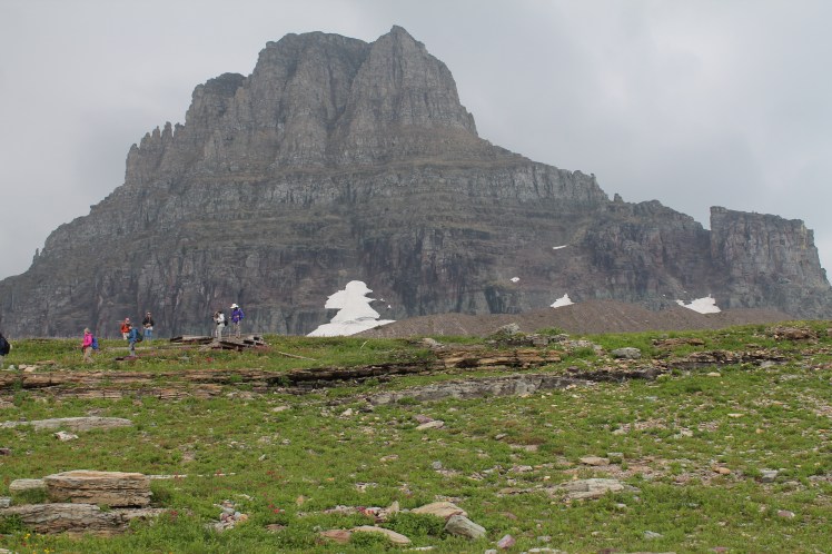 01 Glacier (582)