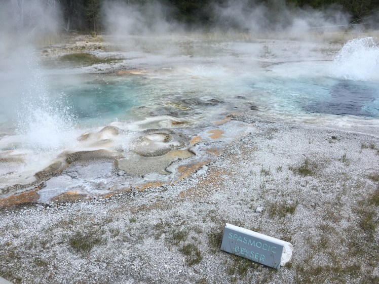 02 Yellowstone (252)
