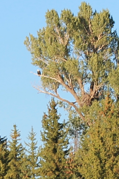 03 Grand Teton (168)