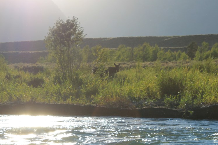 03 Grand Teton (173)