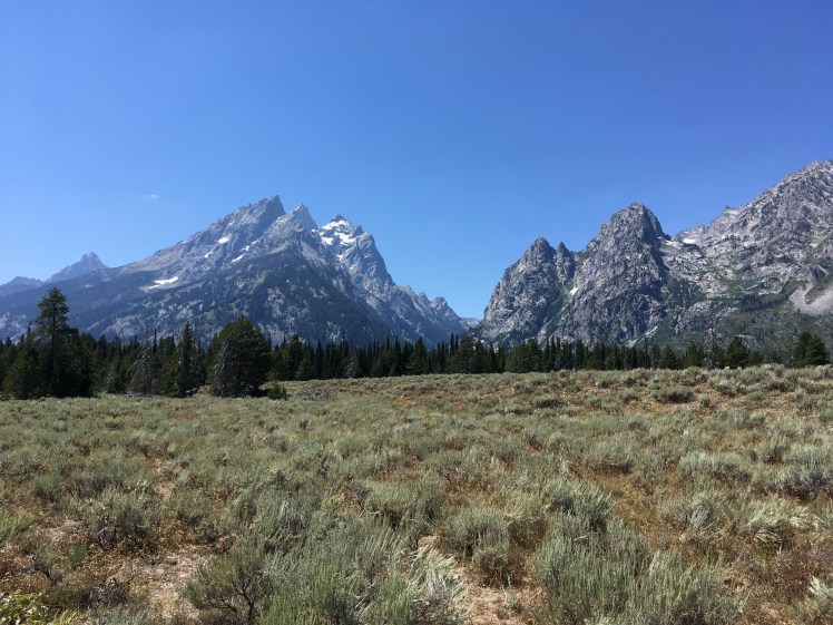 03 Grand Teton (91)