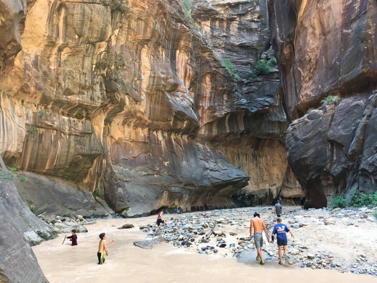 39497472_10100705244501245_7332150159486222336_o